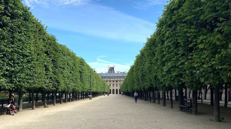 Cluez Palais Royal