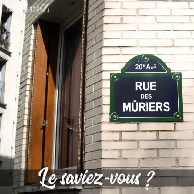 Le Saviez-Vous ? La Rue des Muriers, un trésor de trésors et d'antiquités.🔍
-
Située dans le 20ème arrondissement, c'est un lieu moins touristique mais tout aussi charmant. Nichée entre les boulevards Voltaire et Richard-Lenoir, cette rue est un véritable trésor de trésors et d'antiquités.✨
-
Elle a été fondée au 13ème siècle. Elle a longtemps été le cœur de nombreuses de commerces et d'antiquités, attirant les Parisiens et les touristes à la recherche de bons plans et d'objets uniques. Certains de ces commerces, comme la Maison des objets d'art, ont survécu à la rue des muriers. 🛍
-
Les façades anciennes, les boutiques authentiques et les trésors de trésors offrent un cadre idéal pour découvrir l'histoire de Paris ! 🏷️
-
#Paris #RueDesMuriers #Histoire #Culture #Patrimoine #ClueZ #ClueZParis #LeSaviezVous #BoulevardVoltaire #BoulevardRichardLenoir #MaisonDesObjetsD'Art #Antiquites #FacadeAncienne #Tresor